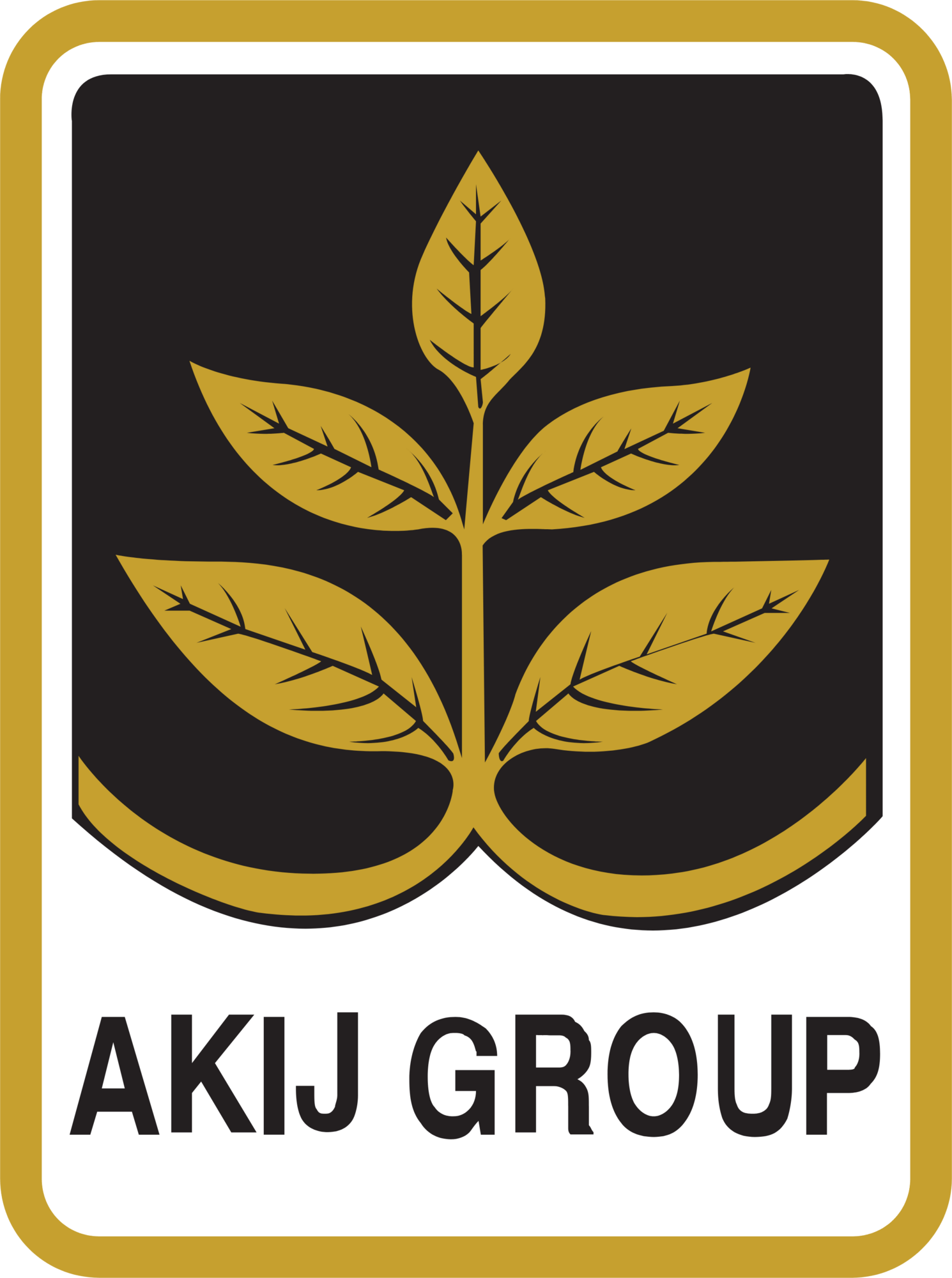 akij-group-seeklogo